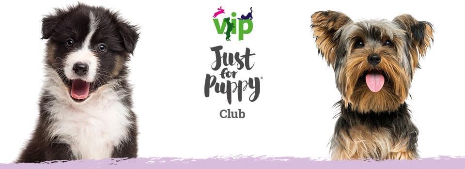 Our VIP Puppy Club is designed to maximise the benefits of our integrated product and services offer, creating long term loyalty 10% off your first puppy shop Free bag of Advanced