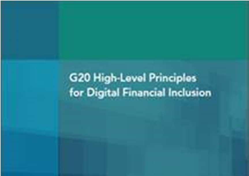 G20 High Level Principles on Digital Financial Inclusion (HLPs) The 2016 Principles are intended to catalyze country-level actions by G20 governments to drive financial inclusion using digital