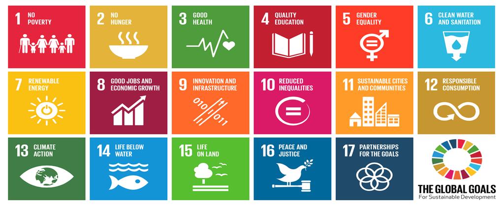 Sustainable Development Goals (SDGs) target driven FDI strategies How to