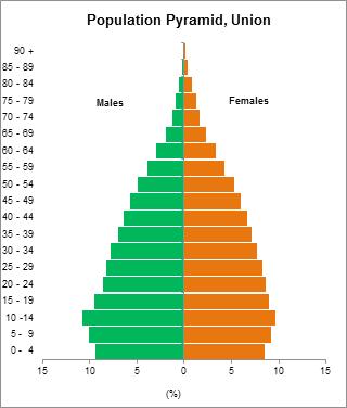 Figure 3: Population pyramid (Union, Ayeyawady Region, Pathein District and Ngwehsaung Sub-Township) In Ngwehsaung Sub-Township, the population has less males than females in age group (5-9) and