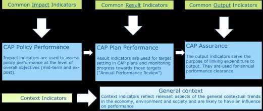 Overall policy performance will be assessed multi-annually on the basis of impact indicators.