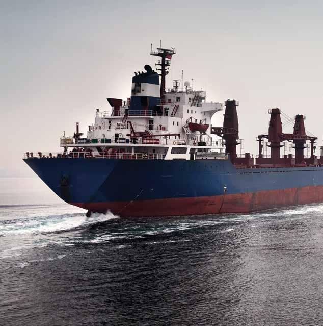 8.2. Tonnage Tax payable on Provisional Registration At the time of the provisional registration of a vessel, tonnage tax for 6 months is payable.