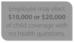 Employee may elect $10,000 or $20,000 of child coverage with no health questions.