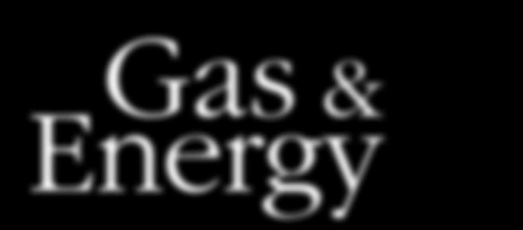 The Energy Business, which supports people s lives mainly through the supply of LPG, and the Industrial Gases & Machinery Business, which supports industry, form our core business, through which