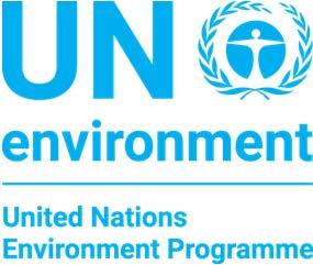 AMENDMENT TO UN ENVIRONMENT S WORK PROGRAMME 2017 Presented to the 79 th Meeting of the Executive