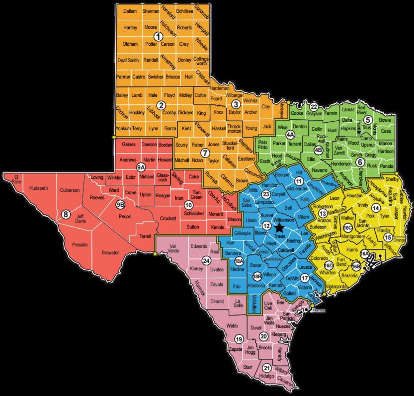 Texas State Mitigation Plans