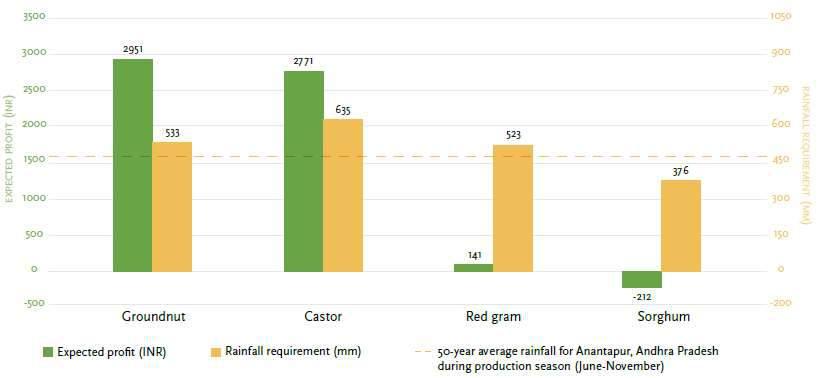 Figure 1. Risk and return of crops Source: JPAL (2016) For the benefit calculation, we first identified the main food and cash crops that are common in Andhra Pradesh.