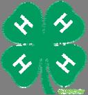 About This Guide This guide has been written primarily for the youth treasurer in mind. The principles and procedures are also applicable to funds handled by our adult 4-H affiliate groups.