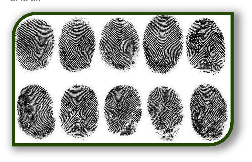 Santa Clara County Cal ID Program 2013 Annual Report Contact Information Rich Reneau, Fingerprint Identification Director rich.reneau@sheriff.sccogov.