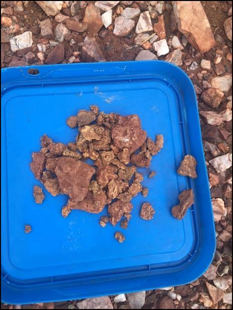 epithermal zones Selection of nuggets recovered by metal detecting by Great Sandy Pty Ltd and KS Gold Pty Ltd at the Singer prospect, DOM s Hill Project, E45/4722.