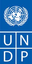 ANNEX I: TERMS OF REFERENCE (TOR) National Communications Consultant for UNDP Project: Strengthening Transparency and Code of Ethics for Enhanced Public Confidence in Court of Cassation in Turkey 1.
