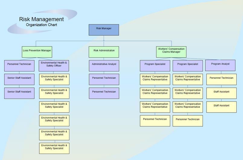Figure 1: Risk Management Organizational Chart Source: Risk Management Division s internal City website.