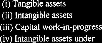 assets (ii) ntangible assets (iii) Capital work-in-progress (iv)