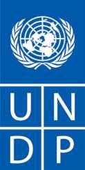 INDIVIDUAL CONSULTANT PROCUREMENT NOTICE Reference Code: Country: Description of the Assignment: Project: UNDP/SCR/SSS/IC/2017/08 Turkey Capacity development on operational efficiency and strategic