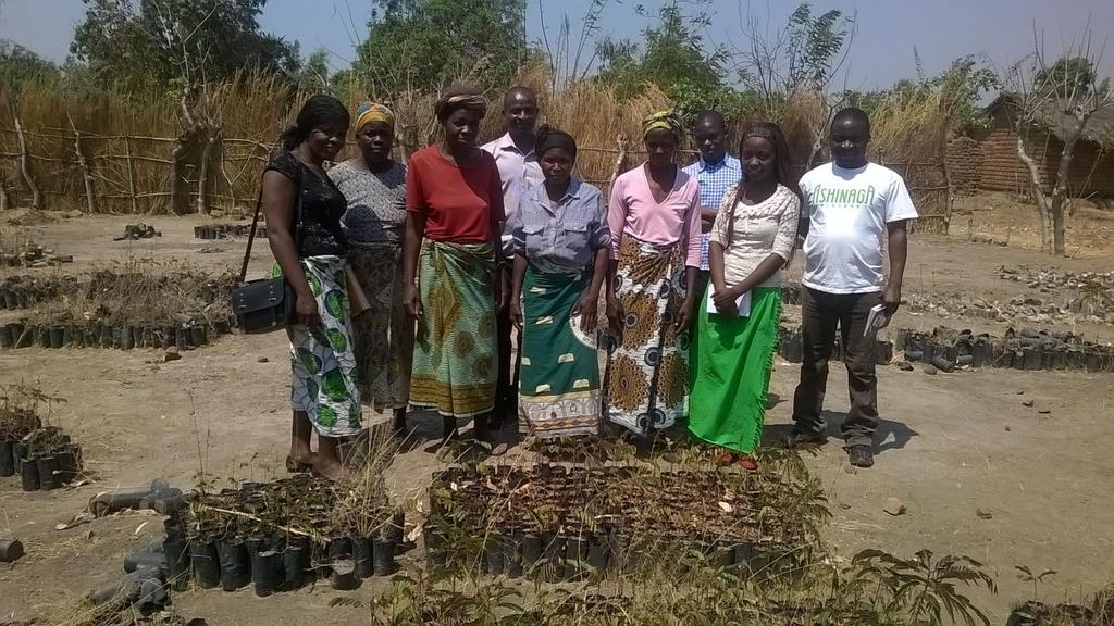 A tree nursery for Saukira Club near T.A Lukwa Headquarters is part of a community driven afforestation project 4.