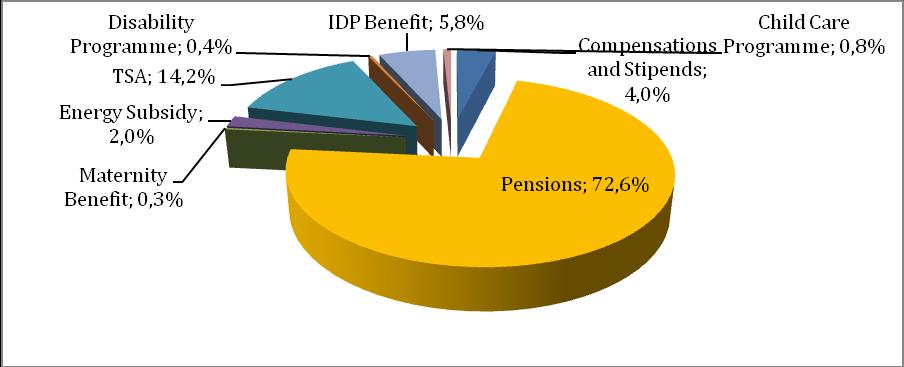 6. SOCIAL TRANSFERS Social protection expenditure is the second largest spending item of the central budget, accounting for 17.7 per cent of the central public expenditure, (5.2% of GDP) in 2008 22.