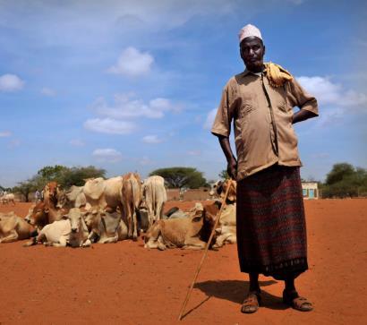 Management for Pastoralist