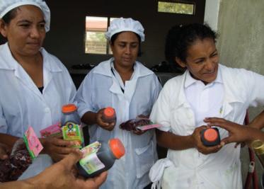 Snapshot: example enterprise In Nicaragua, Christian Aid has provided grant seed funding, then later a loan to help a hibiscus cooperative become a major player in the national market.