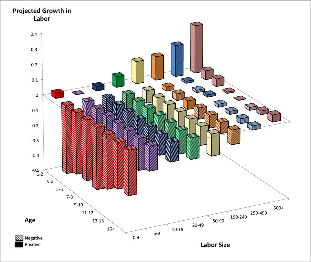 Figure 5: Projected Employment Growth by Average Size and Age Class Notes: Projected establishment employment growth rates for each size and age class.