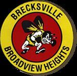 BRECKSVILLE-BROADVIEW HEIGHTS CITY SCHOOL DISTRICT - - CUYAHOGA