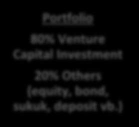 Funds 80% Venture Capital Investment Ak