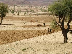 Survey: 10 of 12 list drought as #1 livelihood risk (source: MVP) Climate Risk Management = Risk Reduction (terracing, rainwater harvesting, improved seeds and fertilizer) + Risk
