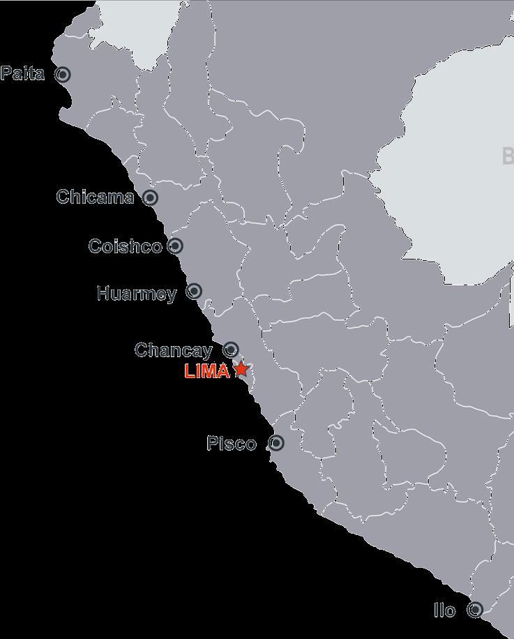 Operation in Peru (Au