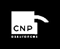 CEF s network CNP Participações holds Brazilian assets in order to allow the acquisition by CNP Group of interests in insurance companies, in line with the strategy to expand in Brazil and Latin