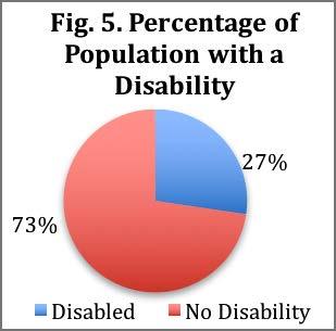 Disabilities Figure 5 illustrates that 27.3% of homeless persons reported having some type of disability. 43.7% of adults reported some type of disability compared to 7% of children.
