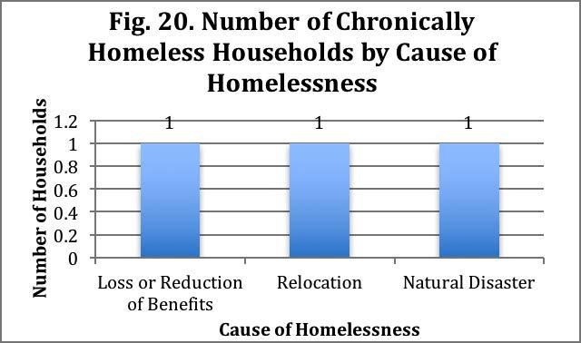 Income and Benefits With regard to income, 2 of the chronically homeless households reported receiving no source of income (66.7%).