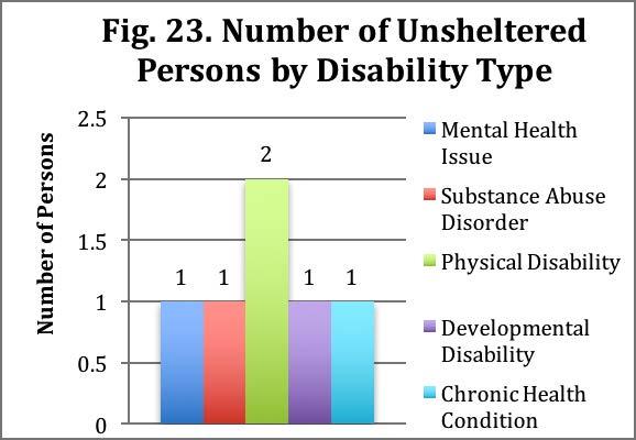 Disabilities All 4 unsheltered persons reported having a disability. The most prevalent disability identified among unsheltered households was physical disabilities (50%).