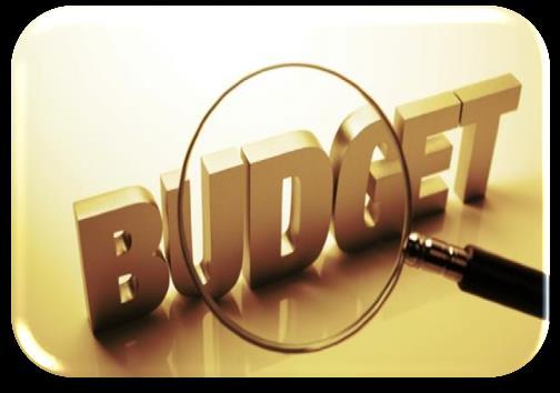 Budget and project duration
