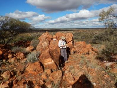 Initial exploration activities underway at Kathleen Valley Lithium Project (WA) - large-scale pegmatite system with outstanding surface grades Very