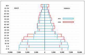 population pyramids, Baucau, 2015 and 2030 Figure