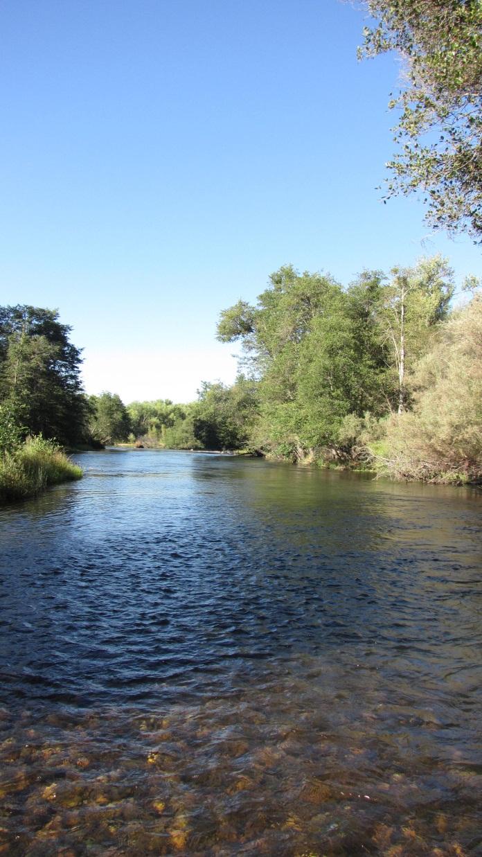 Mokelumne River Curtailment State Water Resources Control Board letter received June 2, 2014 Immediate curtailment of diversions from