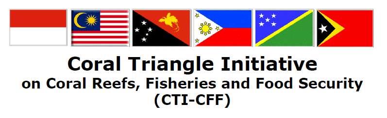 CHAIRMAN S SUMMARY 7 th CTI-CFF SENIOR OFFICIALS MEETING (SOM7) JAKARTA, INDONESIA Adopted 27 th October 2011
