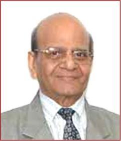 Eminent Board of Directors N.C. Singhal Independent Director Hemang Raja Independent Director M S Sundara Rajan Independent Director Dr.