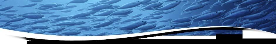 COMPANY OVERVIEW LEADER IN SUSTAINABILITY Committed to sourcing all our seafood from certified sustainable or responsible fisheries and aquaculture In cooperation with NGOs, industry partners and