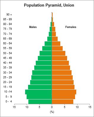Figure 3: Population pyramid (Union, Chin State, Falam District and Tonzaung Township) The birth rate is