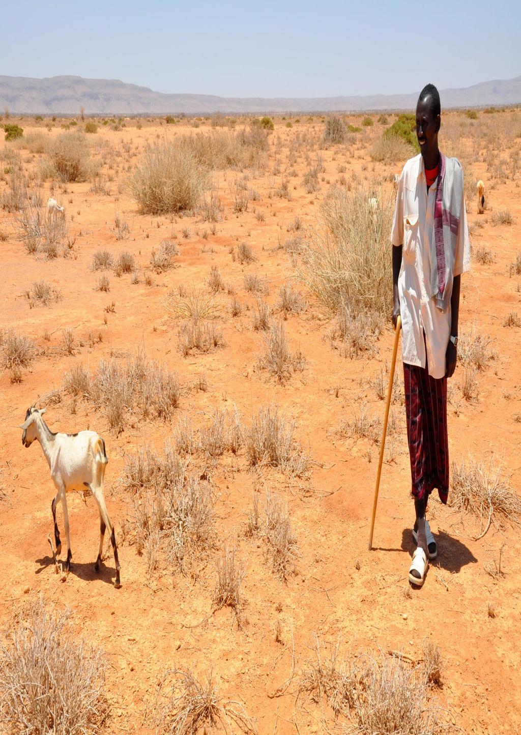Drought in Somalia, Horn of Africa, July 2011 CHAPTER 4