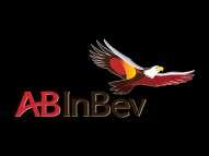 Pubstone: 10 years of a successful partnership with AB InBev Pubs = selling points for existing AB InBev products + support for the launch of new products (ex.