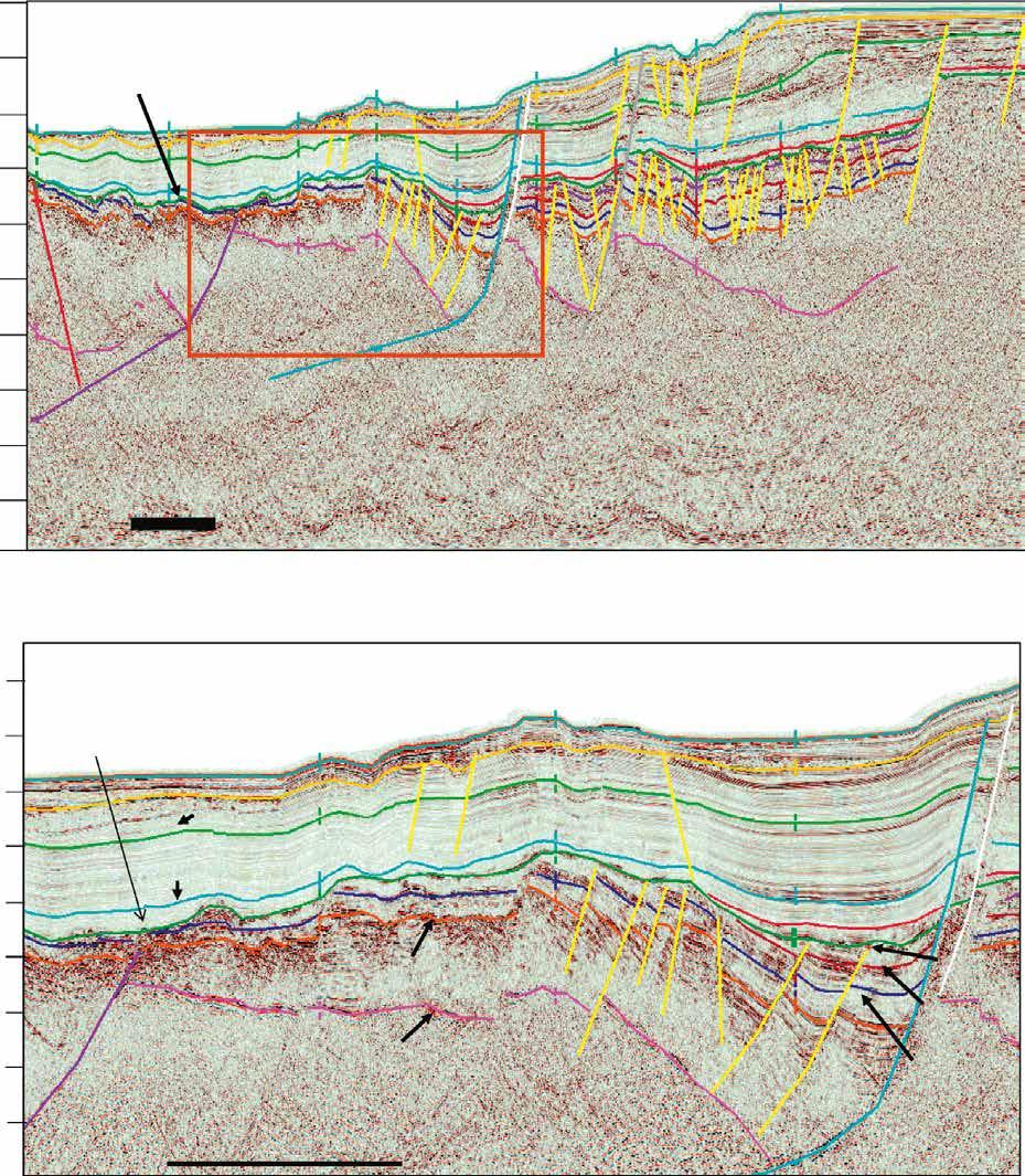 Q3 2018 0 NW SE PAGE 9 1 EARLY MIOCENE UNCONFORMITY 2 GIANT STRUCTURES WITH MULTI TCF RESOURCE POTENTIAL WITHIN THE STUDY AREA Over 2,900 sq km of modern, high quality 3D seismic data available (2016