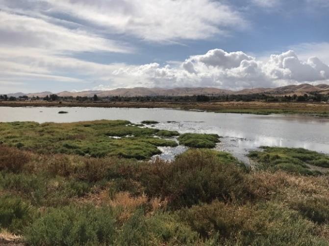 Plan for Climate Change Resiliency Complete Albany Beach restoration and public access project. Install rain catchment systems at Tilden Nature Area and Tilden Botanic Garden.