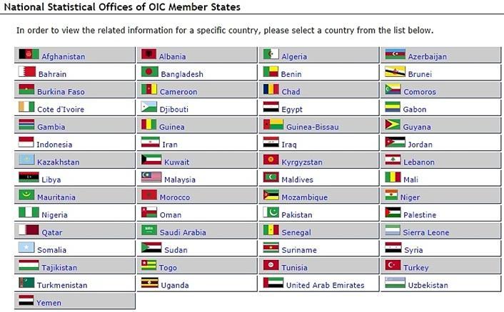 NSOS OF OIC MCS NSOs of OIC