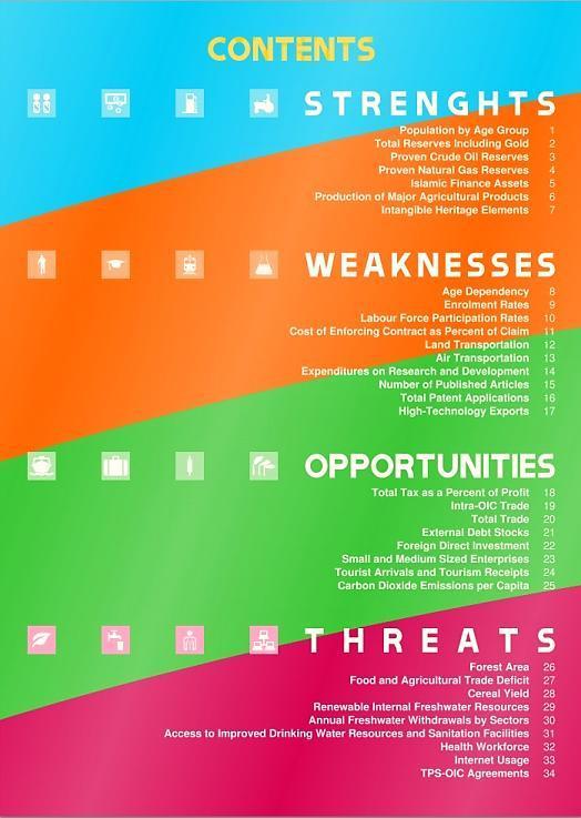 approach, the SWOT Outlook aims to