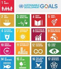 contributing to the SDGs Step 3: Final