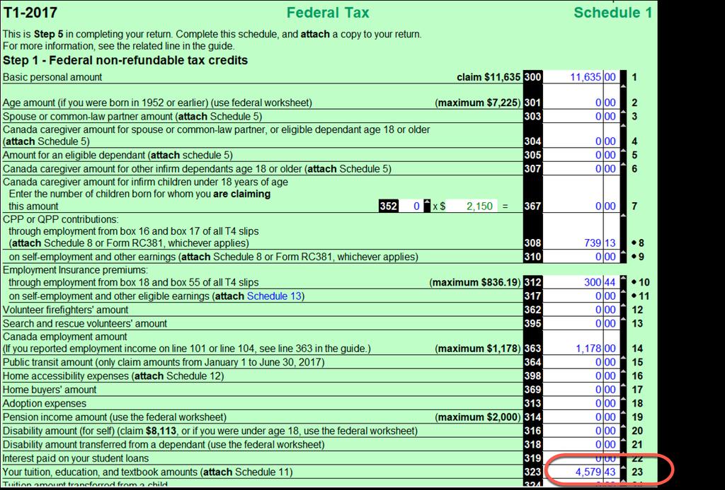 information to record, here is snapshot of her tax