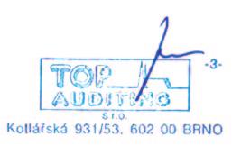 Auditor s 