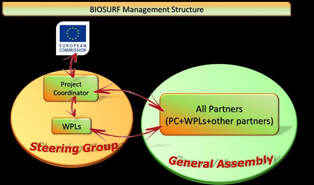 2. Project Organization and Management Structure BIOSURF requires from partners efforts in terms of: solid command over all running activities; technical quality of deliverables; regular