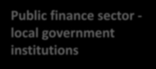 Public finance sector - local government
